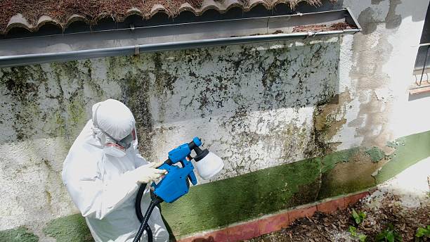 Top rated local Mold Remediation specialists in Norwood, PA